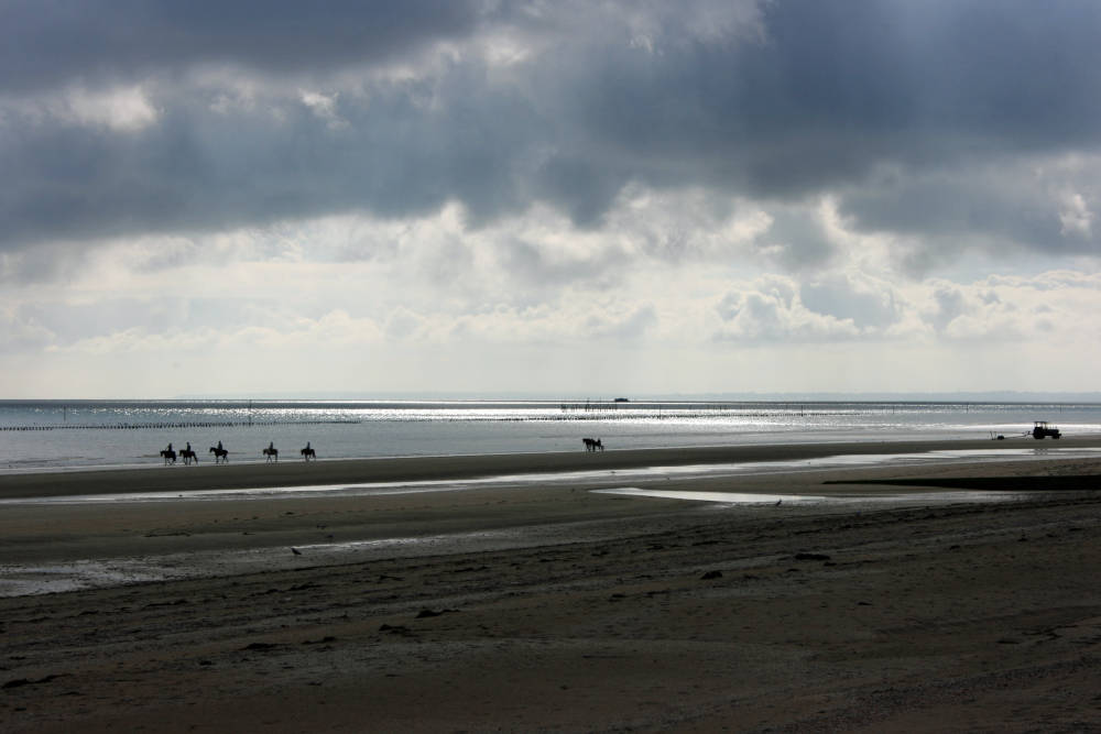 Omaha Beach, ormandy